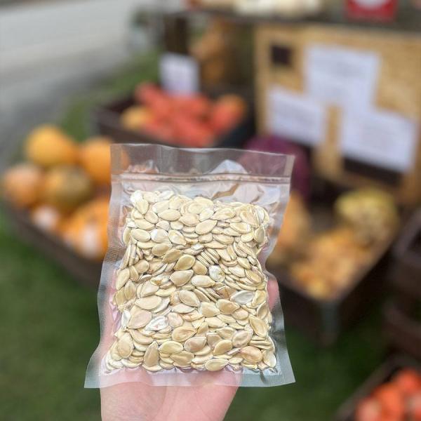 Dýňová semínka
